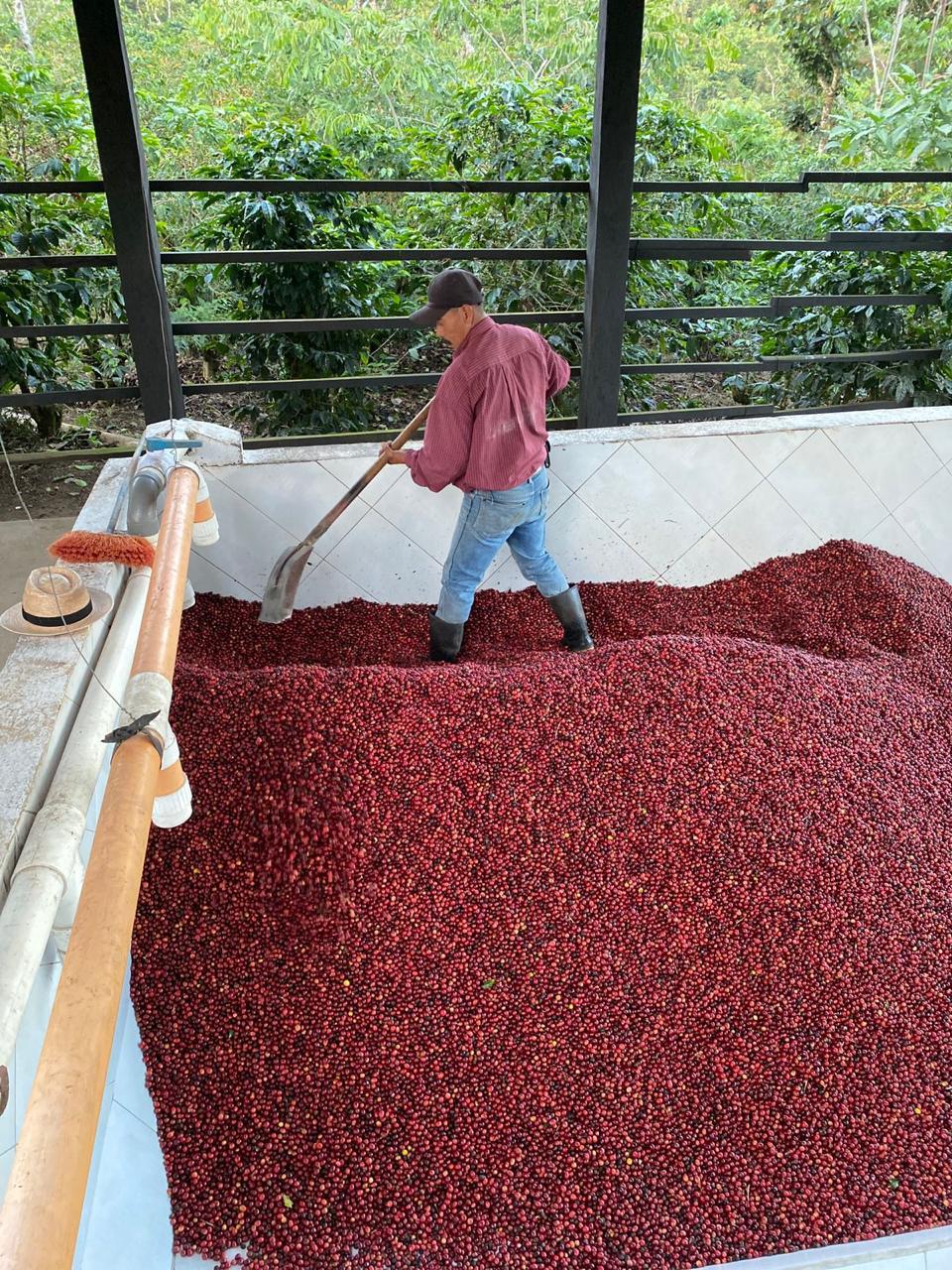 Single Origin Honduras